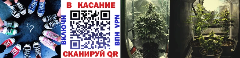 Купить наркоту Йошкар-Ола АМФЕТАМИН  ОМГ ОМГ зеркало  Гашиш  Alpha PVP  Канабис  Cocaine  Мефедрон 