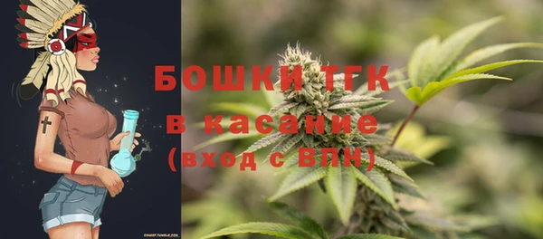 ешки Алексин