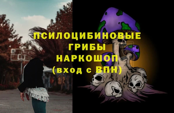 ГАЛЛЮЦИНОГЕННЫЕ ГРИБЫ Алексеевка