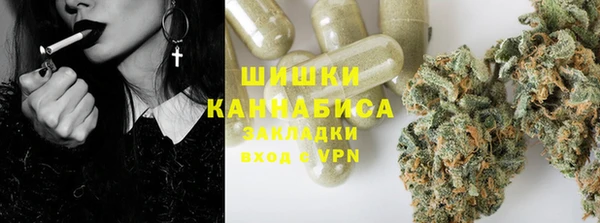 ГАЛЛЮЦИНОГЕННЫЕ ГРИБЫ Алексеевка