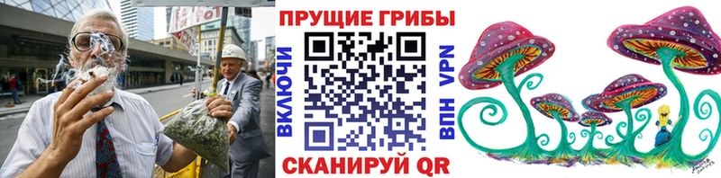 Псилоцибиновые грибы Psilocybine cubensis  Йошкар-Ола 