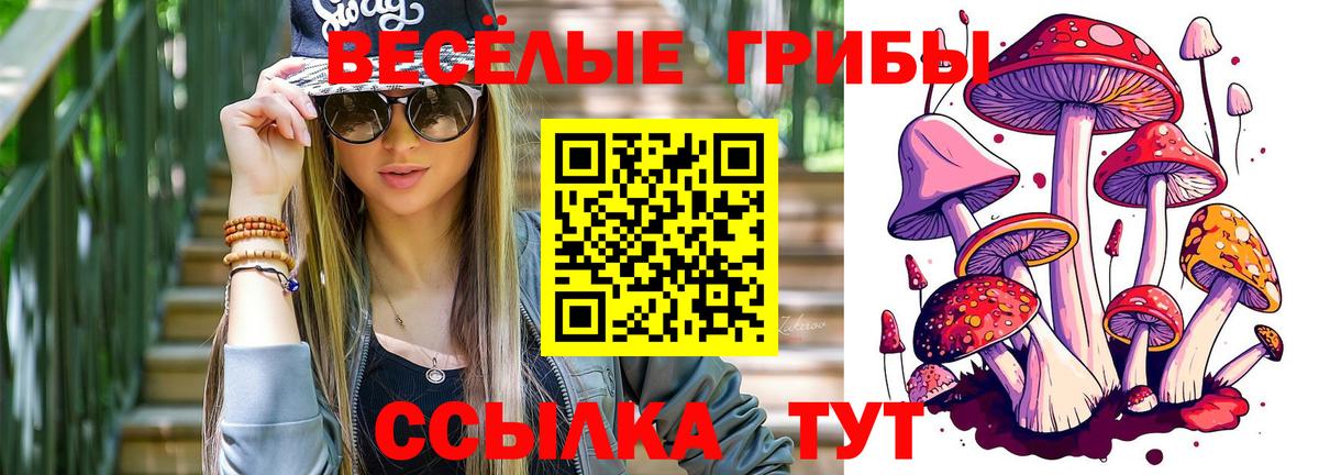 Псилоцибиновые грибы Psilocybe  Галлюциногенные грибы мухоморы  Вход с VPN  Йошкар-Ола 